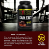 Universal Gain Fast Mass Gainer Chocolate (5lb) 10 Servings - Image 3