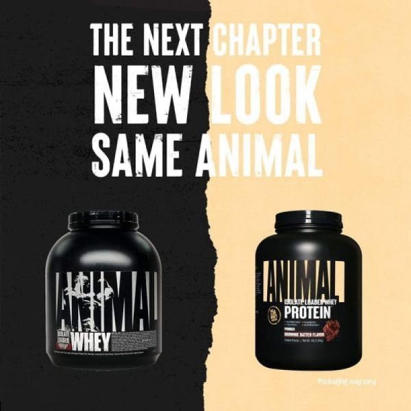 Animal Whey Isolate Brownie Batter (4lbs) 52 Servings (EXCLUSIVE DISTRIBUTOR) - Image 4